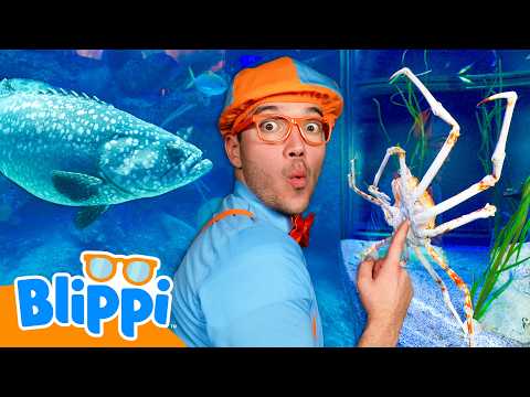 Blippi’s Sea Animal Scavenger Hunt 🐠🦀 Let's Go Under the Sea!
