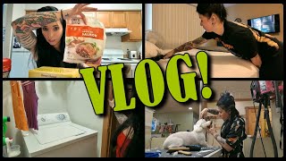 VLOG: July 16th-25th | Grocery Haul, Trying New Cat Toys, Grooming, and BROKEN Washing Machine?!