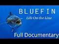 Southern Bluefin Tuna: Conservation and Management