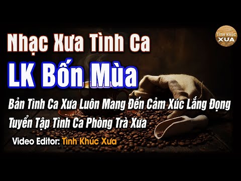 NHẠC XƯA TÌNH CA CÀNG NGHE CÀNG THA THIẾT🔥LK TÌNH CA LÃNG MẠN 🔥 GIAI ĐIỆU CỦA TÌNH YÊU