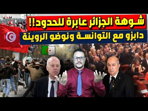 شوهة الجزائر عابرة للحدود  دابزو مع توانسة ونوضو روينة