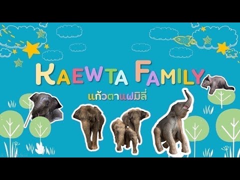 10ตุลาคมสุขสันต์วันเกิดพี่นพรัตน์🐘🐘🐘🐘อายุ6ขวบ