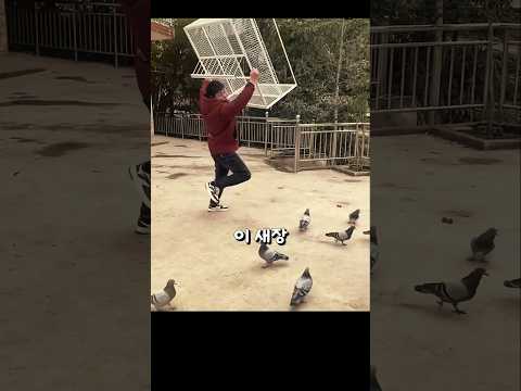 새가 스스로 들어가는데... 나갈 수는 없다고요?!