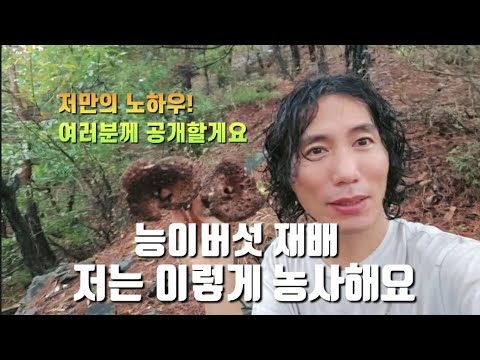 그동안 경험으로 결과? 이렇게 했더니 능이가 나왔어요