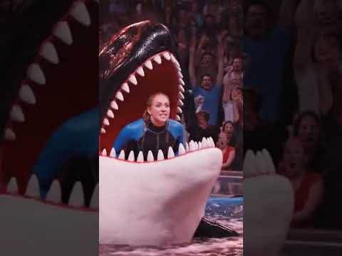 "⚡ Deadly dolphin bite caught on camera! 🐬🚫"
