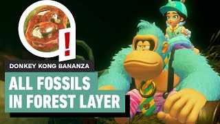 Donkey Kong Bananza - Every Forest Layer Fossil Location | Rare and Legendary