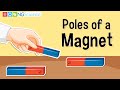 Magnetism and Magnetic Forces