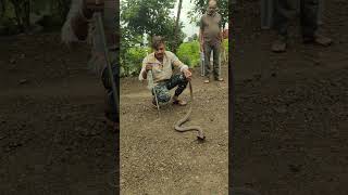 श्रावण महीने के पहले ही दिन हुआ नाग का दर्शन 🐍