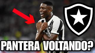 LUIZ HENRIQUE VOLTANDO PRO BOTAFOGO?