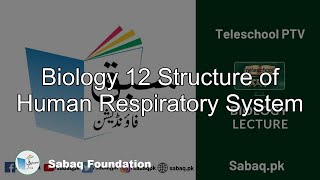 Biology 12 Structure of Human Respiratory System