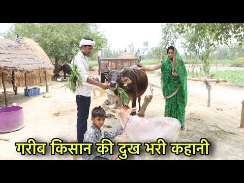 गरीब किसान के परिवार की मजबूरी || Ek Dookh Bhari Kahani II Niranjan Singh Rana