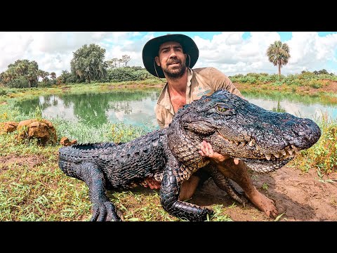 GIANT ALLIGATOR HUNT! (This was crazy!)