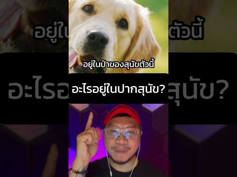 อะไรอยู่ในปากสุนัข⁉️