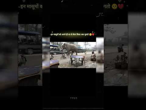 इन मासूमों को अपने घर से बेघर किया अब भुगतो 🥺💔 #help #sad #love #shorts #viralreels