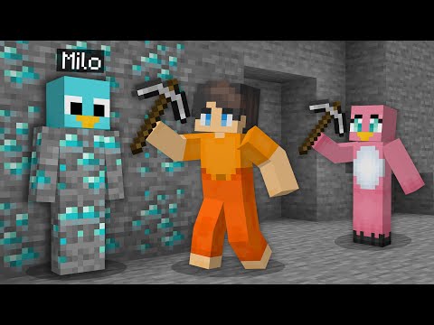 I Pranked My Friends as a Diamond in Minecraft!