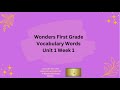 Understanding Vocabulary and Object Recognition