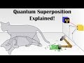 Superposition and Electron Behavior