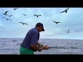 Narrator's Attitude Towards Fishing