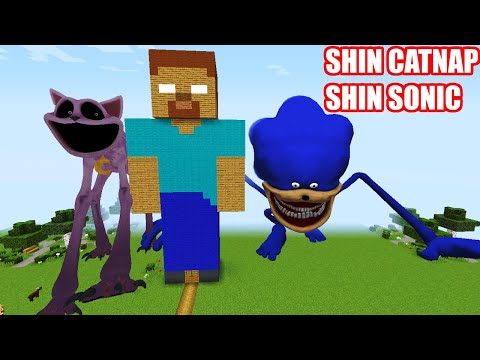 SURVIVING From SHIN SONIC and SHIN CATNAP in Minecraft - Gameplay - Coffin Meme