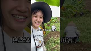 小芬学长鸡司令终于开始减肥了，早早起床去地里面除草翻地，既能运动又可以种菜一举两得，生妹妹后学长爸妈好久没管理过菜园草比人还高……#广东 #湛江 #家庭日常