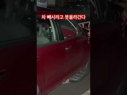 차 빼시라고 못올라간다고