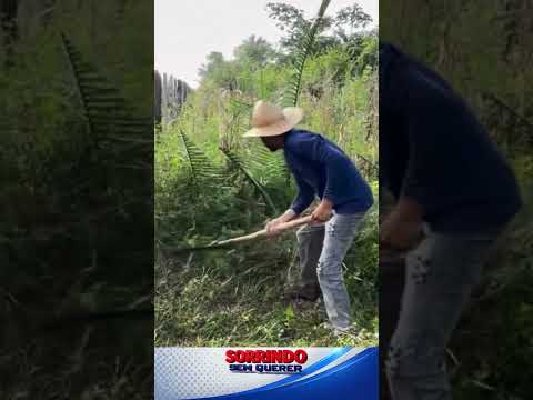 😂TENTE NÃO RIR 😂 Memes Mais Engraçados da Internet
