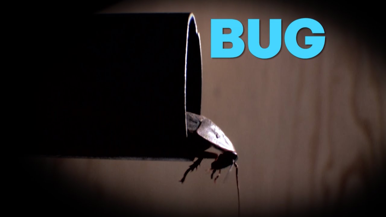 Bug Trailer thumbnail