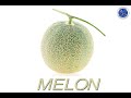 Understanding Melon Colors