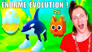 Je trouve des Brainrots LÉGENDAIRES et objets SECRETS ! (Roblox Brainrot Evolution) - Nadège Candle