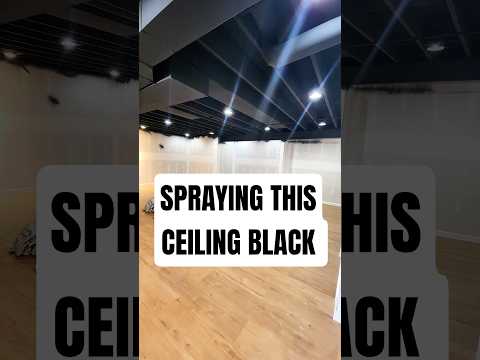 Black ceilings are the new thing! #alecpaints #diy