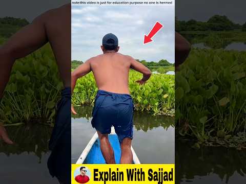 āĻĻāϞā§āϰ āĻŽāĻžāĻā§ āĻāĻžāĻāĻĒ āĻĻāĻŋāϝāĻŧā§ āĻāĻŋ āϧāϰ⧠āύāĻŋāϝāĻŧā§ āĻāϏāϞ⧠#fishinglife #facts #shortvideo #viralvideo #shorts