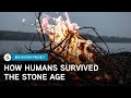 Human Evolution and Adaptations