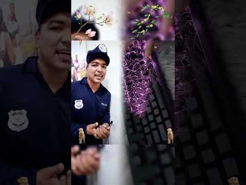 #funny #foryou #pov #youtube #fyp