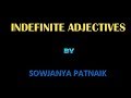 Indefinite Adjectives and Their Functions