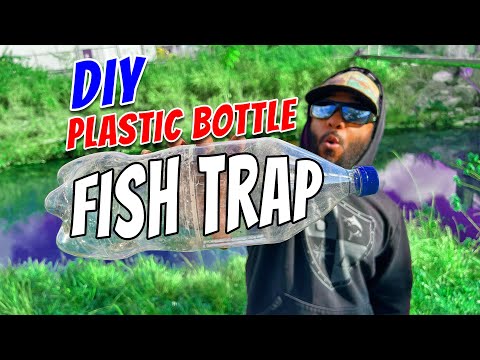 DIY Fish Trap!  Plastic Soda Bottle Bait Trap Fishing