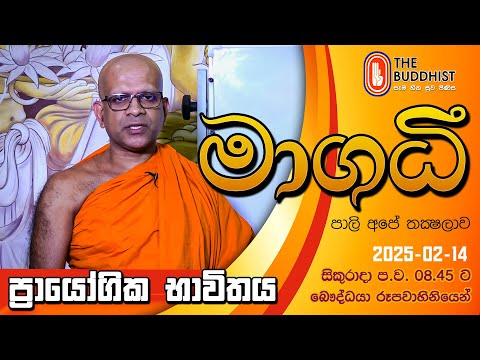 Maagadhi - මාගධී (පාලි අපේ තක්‍ෂලාව)  | 2025-02-14 | 8.45 PM