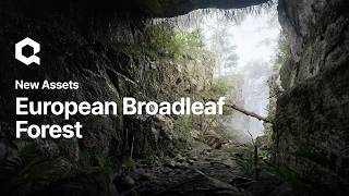 European Broadleaf Forest by Quixel Megascans