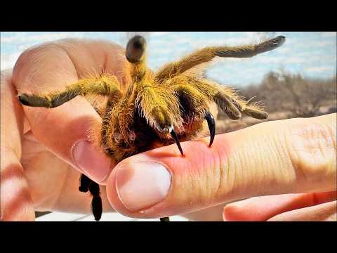 Sobrevivo 3 Días Solo En Una Isla, SIN COMIDA, SIN AGUA, SIN REFUGIO