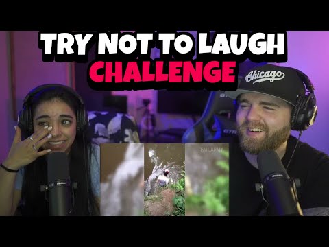 IDK HOW SOME OF THESE PEOPLE SURVIVED! : Best Fails of The Week Funniest Fails Compilation