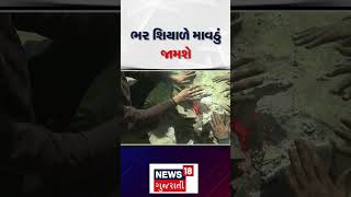 Gujarat Weather Prediction | ભર શિયાળે માવઠું જામશે | Winter | Rain | weather Forecast | Mavthu