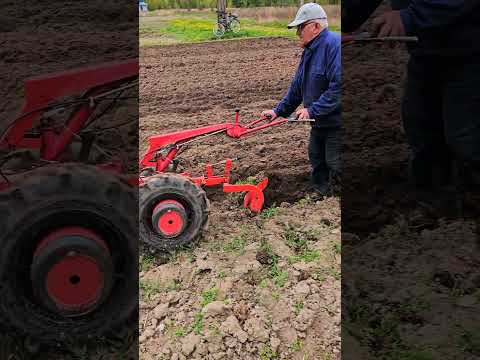 Шикарный мотоблок Беларус 09Н. Мотор Honda GX270. #агротехнологии #farming #agriculture #мотоблок