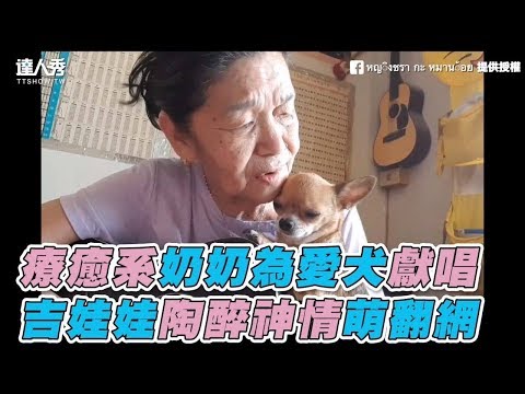 【療癒系奶奶為愛犬獻唱 吉娃娃陶醉神情萌翻網】