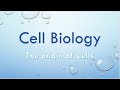 Cell Theory and Endosymbiotic Evidence