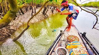 সুন্দরবন নদীতে, নৌকোয় বসে জালতি দিয়ে প্রচুর কাঁকড়া🦀🦀 ধরলাম।@naturalsundarban