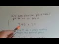 Multiplying Decimals and Understanding Concepts