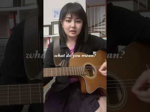 What do you mean? Justin Bieber Acoustic Cover (Guitar and Voice)