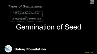Germination of Seed