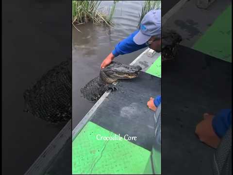 Maybe they aren’t soulless reptiles #viral #meme #shorts #shortvideo #memes #cristian #trending