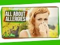 Understanding Allergies