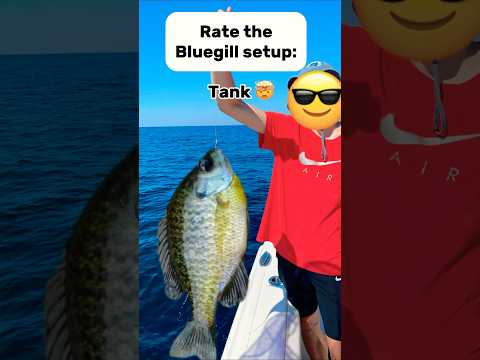 World Record Bluegill ๐คฏ #fishing #fisherman #funny #trending